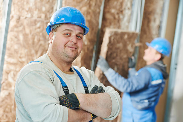 Best Eco-Friendly Insulation in Holiday City South, NJ